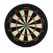 Endorphine Dartboard ohne Zahlenring mit Magnethalter